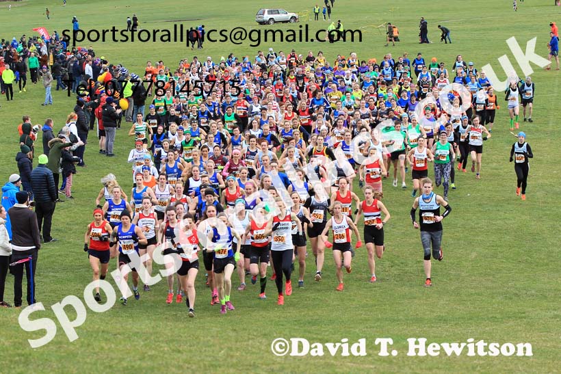 Senior womens 2022 NEHL Sherman Cup/Davison Shield, Temple Oark, South Shields. Photo: David T. Hewitson/Sports for All Pics